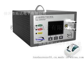 手提式一氧化碳分析仪TD600-CO