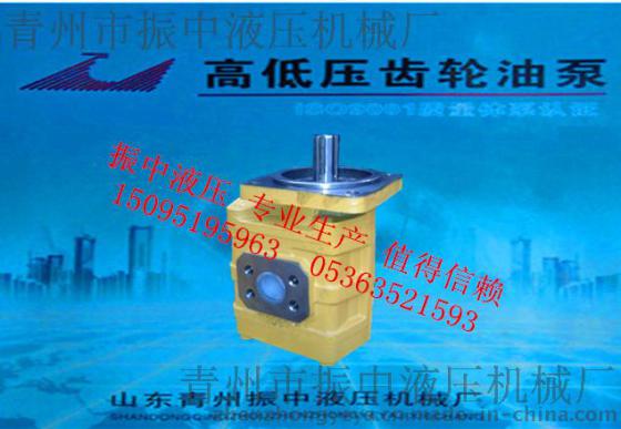 山东潍坊振中液压机械CBGJ2080高压齿轮油泵