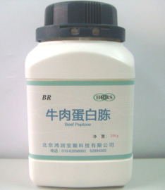 HRBS-Y006牛肉蛋白胨