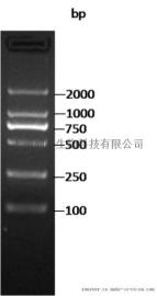 同科生物|DNA分子量标准 2000报价